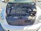2014 VOLKSWAGEN Beetle