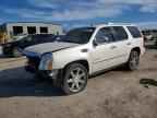 2013 CADILLAC ESCALADE
