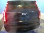 2026 CADILLAC ESCALADE