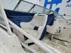 2002 Sea- Boatw/trlr