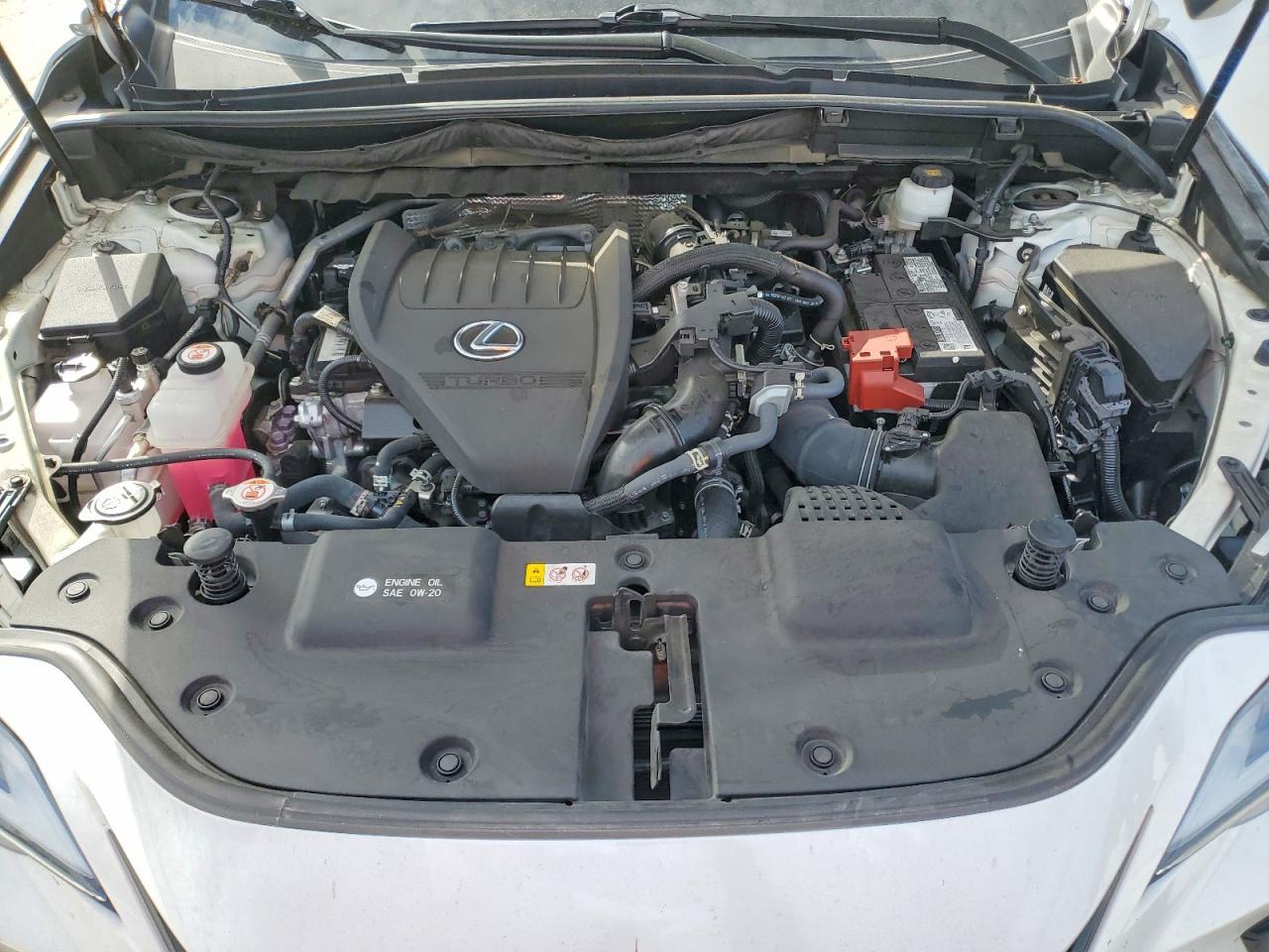 2024 LEXUS NX 350