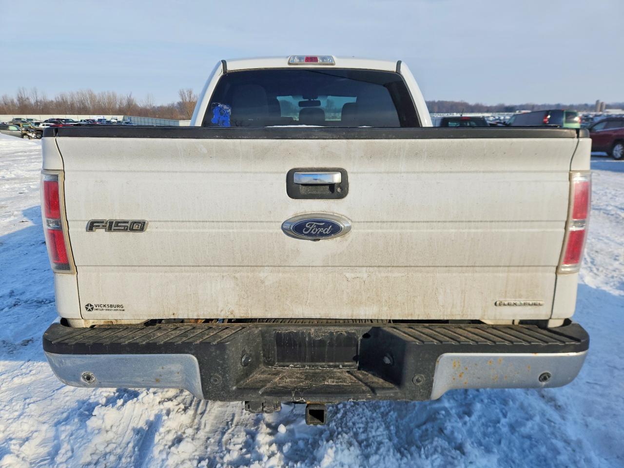 2013 FORD F-150