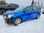 2021 KIA RIO