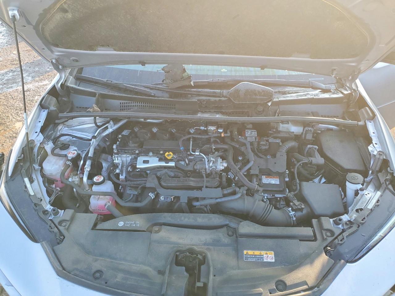 2023 TOYOTA PRIUS