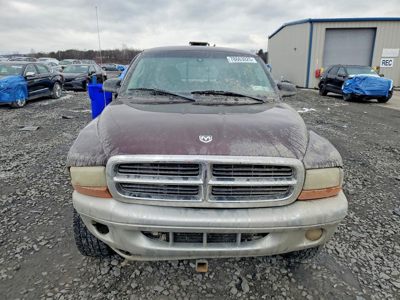 2004 DODGE Dakota