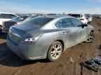2014 NISSAN Maxima