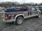 2004 DODGE Dakota