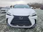 2026 LEXUS NX 350