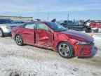2024 KIA K5