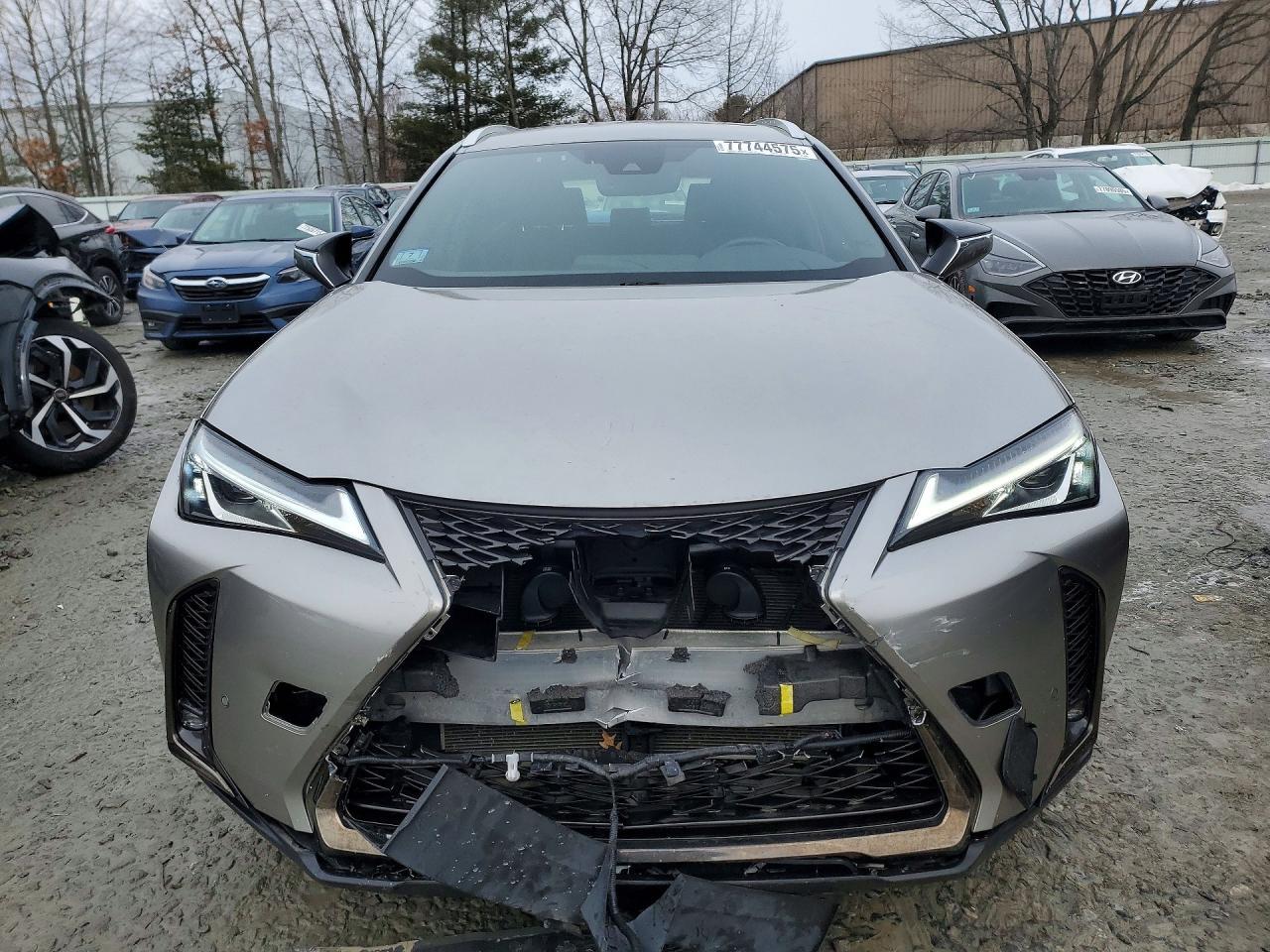 2019 LEXUS UX 250H