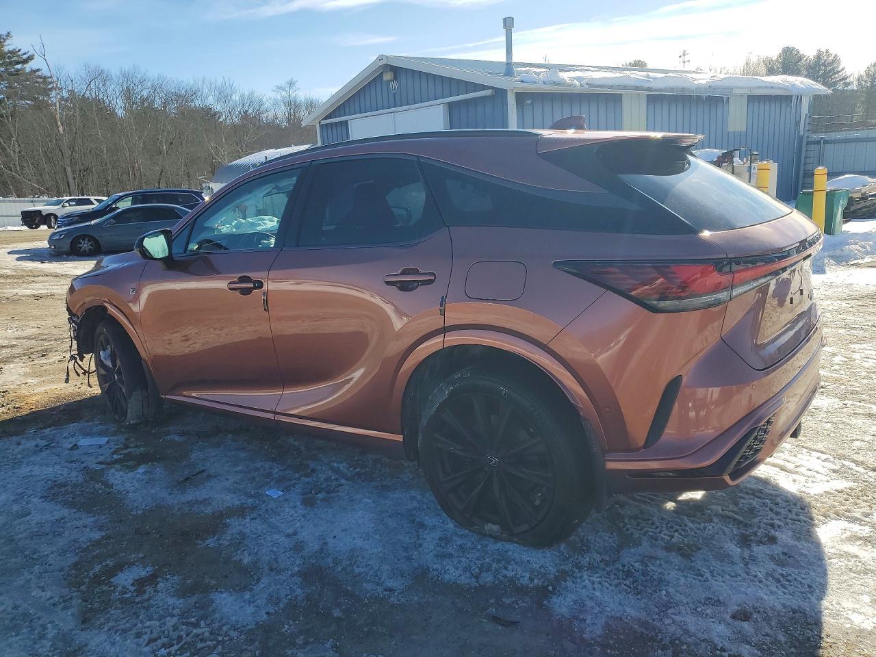 2025 LEXUS RX 500H