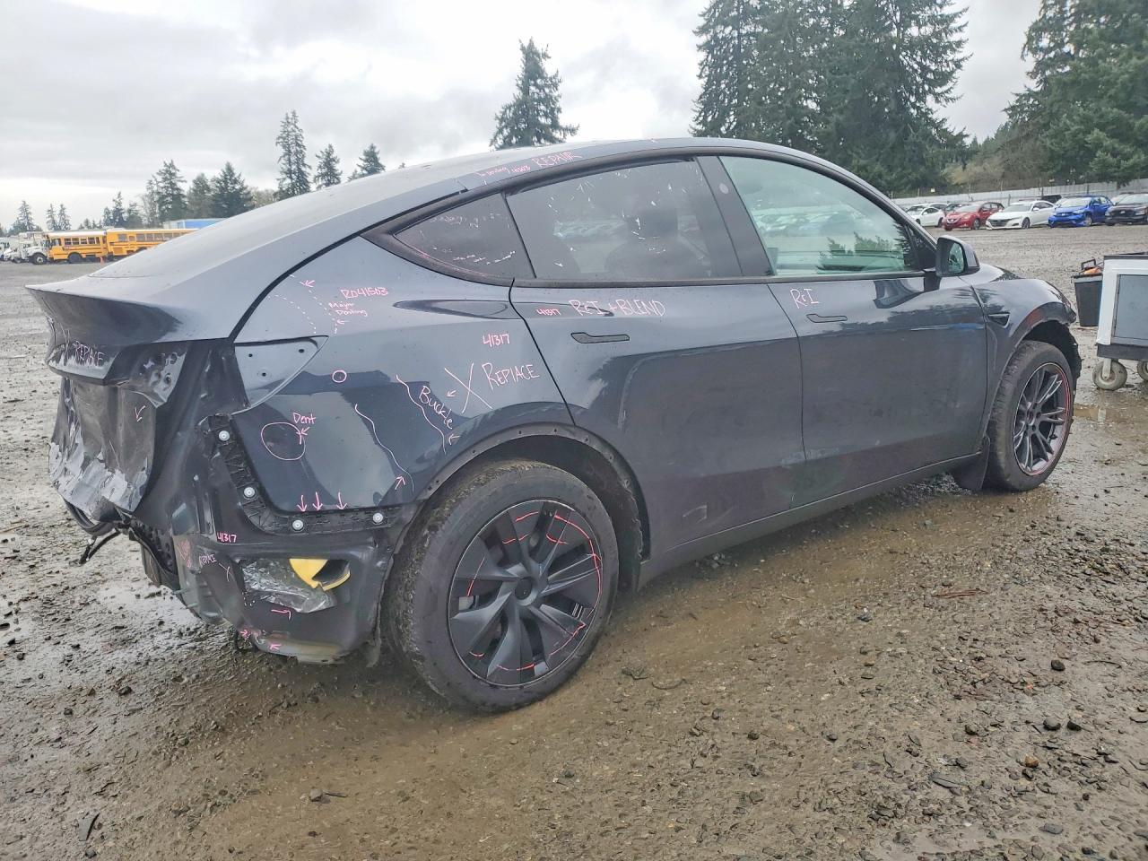 2025 TESLA MODEL Y
