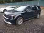 2026 KIA Carnival