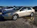 2005 HONDA ACCORD