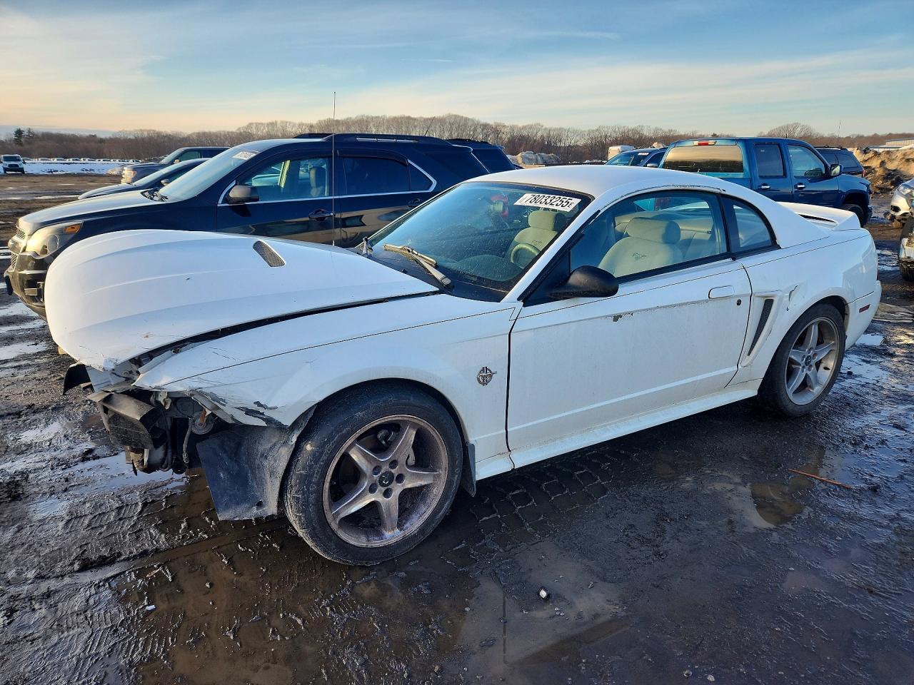 1999 FORD MUSTANG