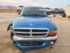 2004 DODGE Dakota