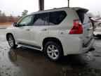 2010 LEXUS GX 460