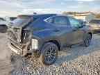 2025 LEXUS NX 250