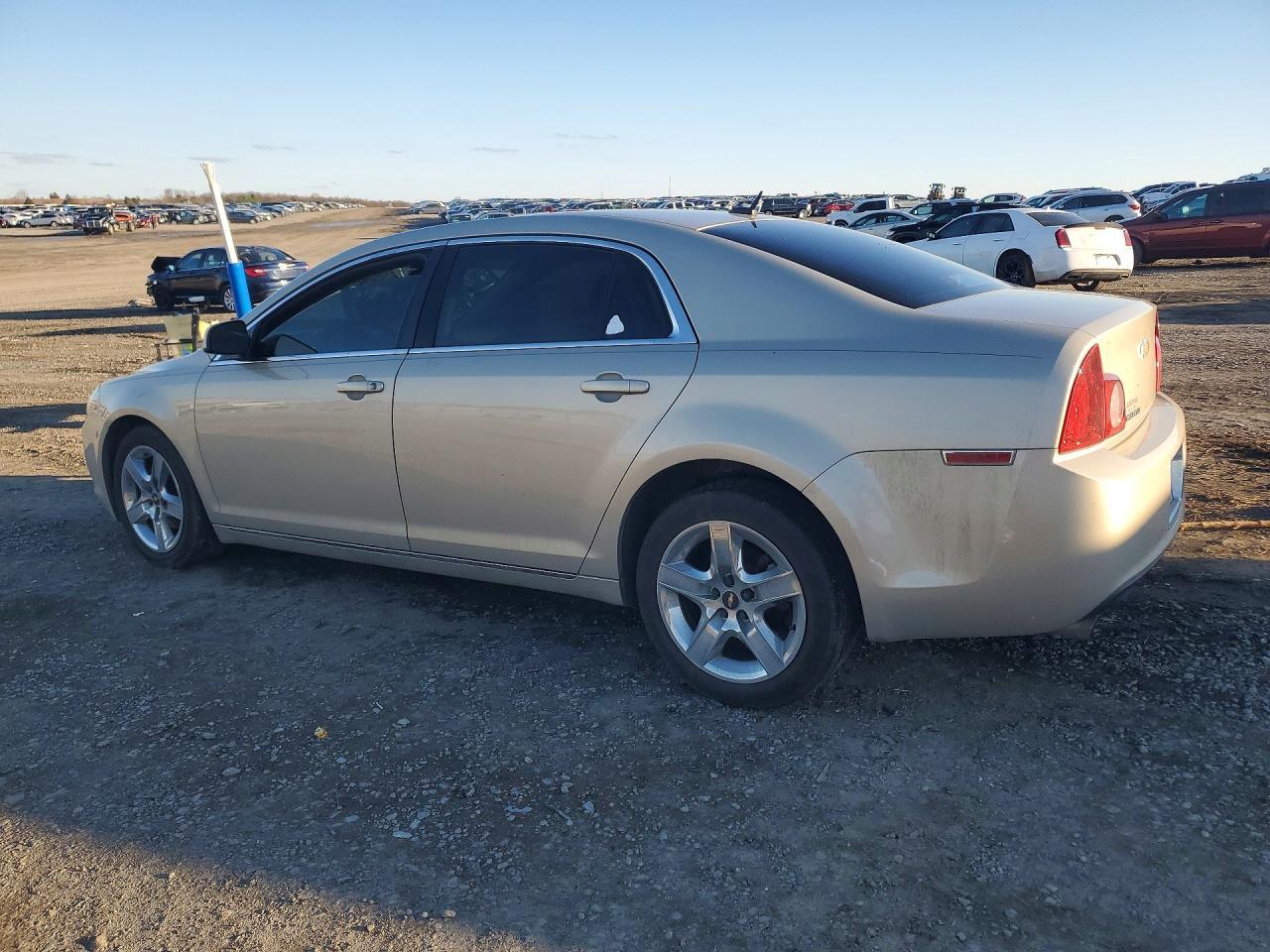 2010 CHEVROLET MALIBU