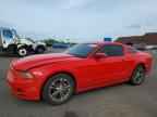 2013 FORD MUSTANG