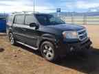 2011 HONDA PILOT
