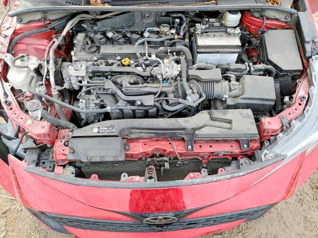 2025 TOYOTA COROLLA