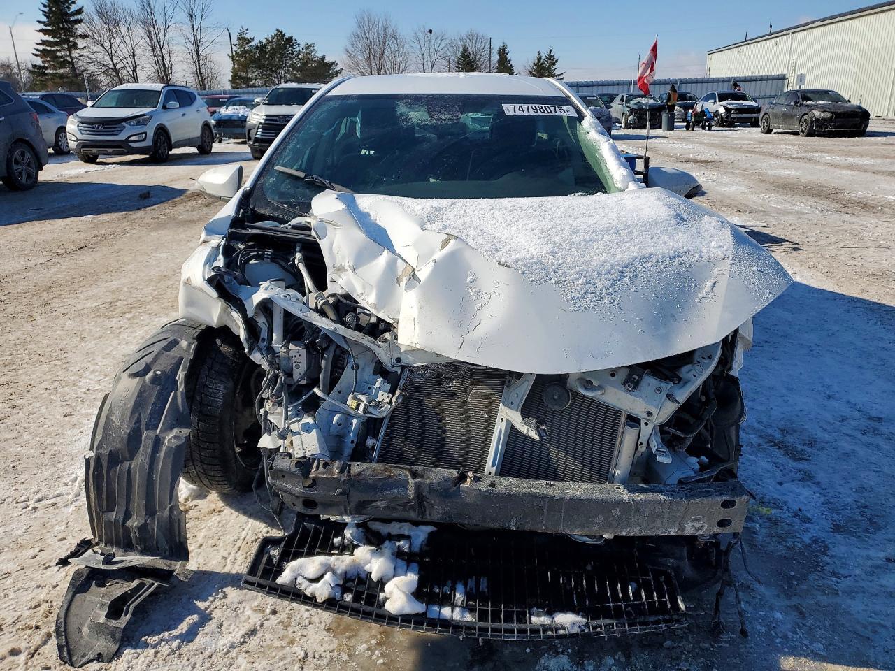 2019 TOYOTA COROLLA