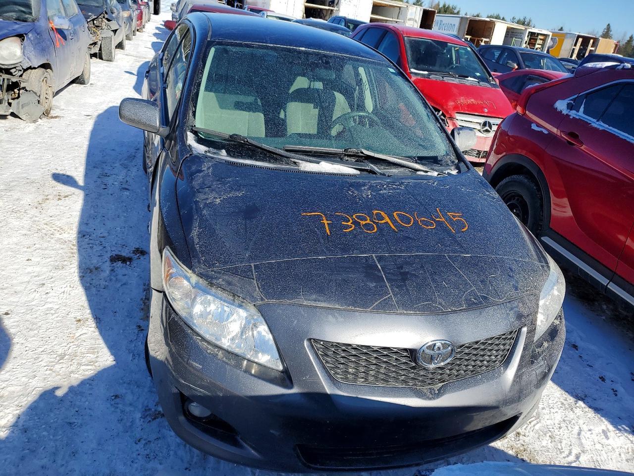 2009 TOYOTA COROLLA
