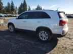 2014 KIA SORENTO