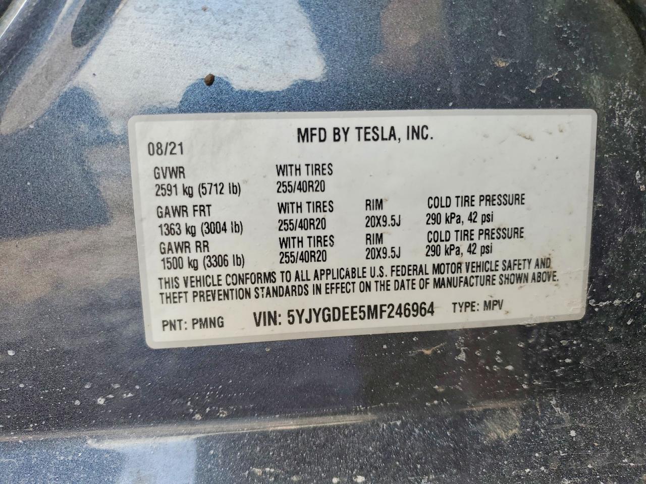 2021 TESLA MODEL Y