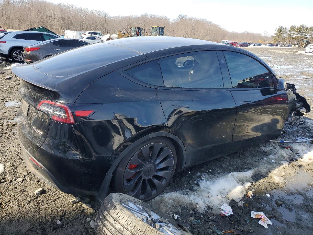 2025 TESLA MODEL Y