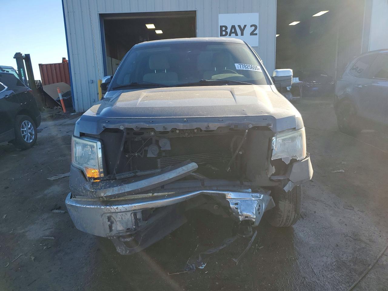 2009 FORD F-150