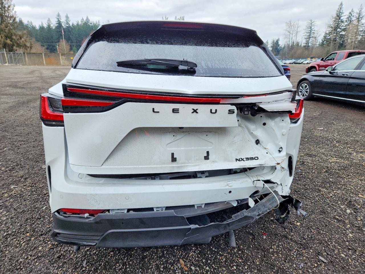 2026 LEXUS NX 350