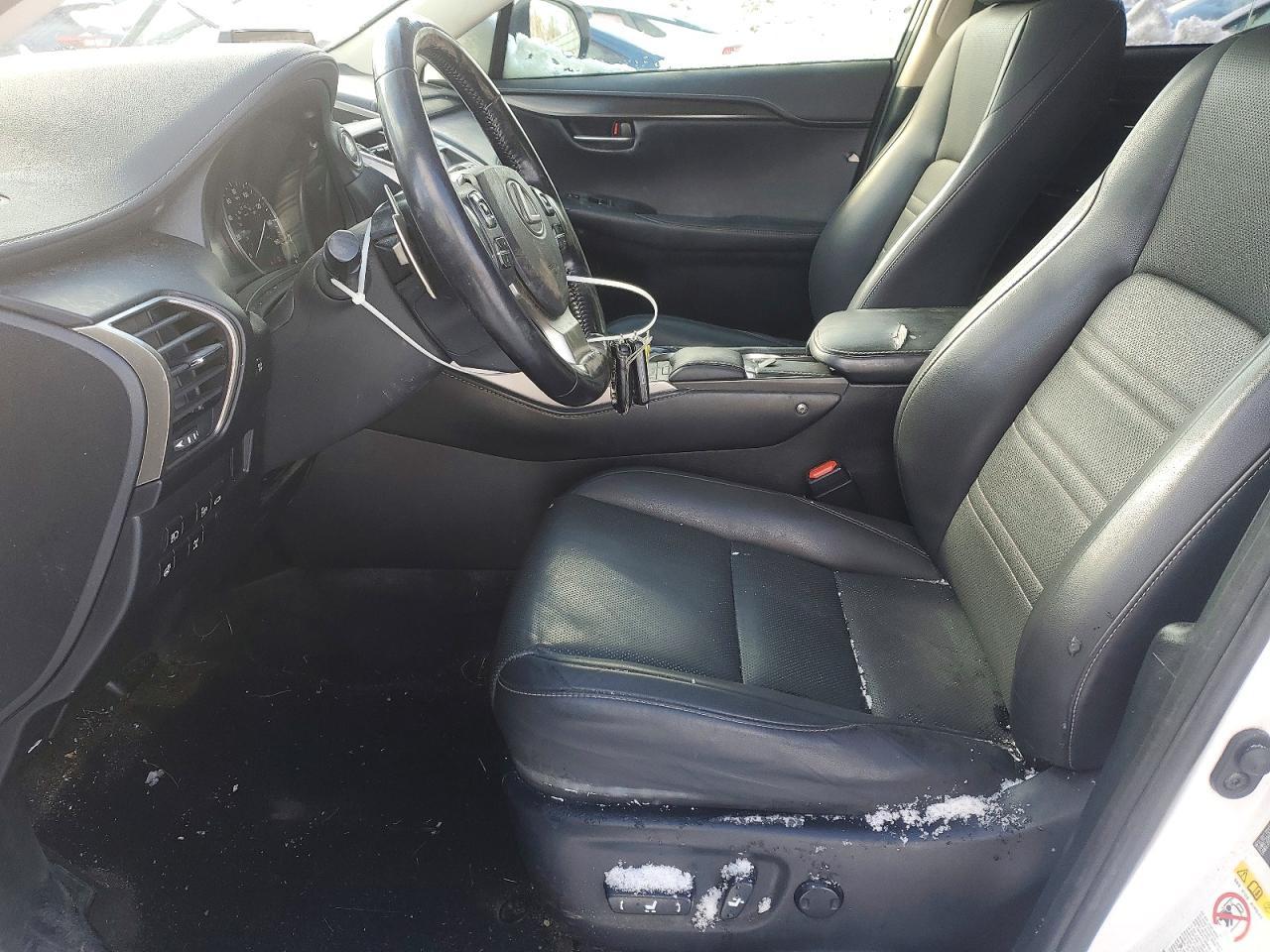 2019 LEXUS NX 300