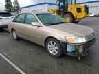 2001 TOYOTA Avalon