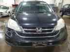 2010 HONDA CR-V