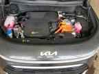 2026 KIA Niro