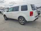 2014 HONDA PILOT