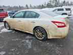 2009 NISSAN Maxima