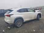 2021 LEXUS NX 300