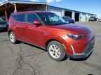 2024 KIA SOUL