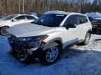 2025 TOYOTA Corolla Cross