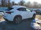 2019 LEXUS NX 300