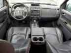2009 MAZDA Tribute