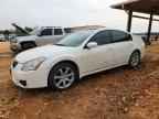 2007 NISSAN Maxima