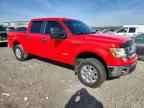 2013 FORD F-150 Lightning