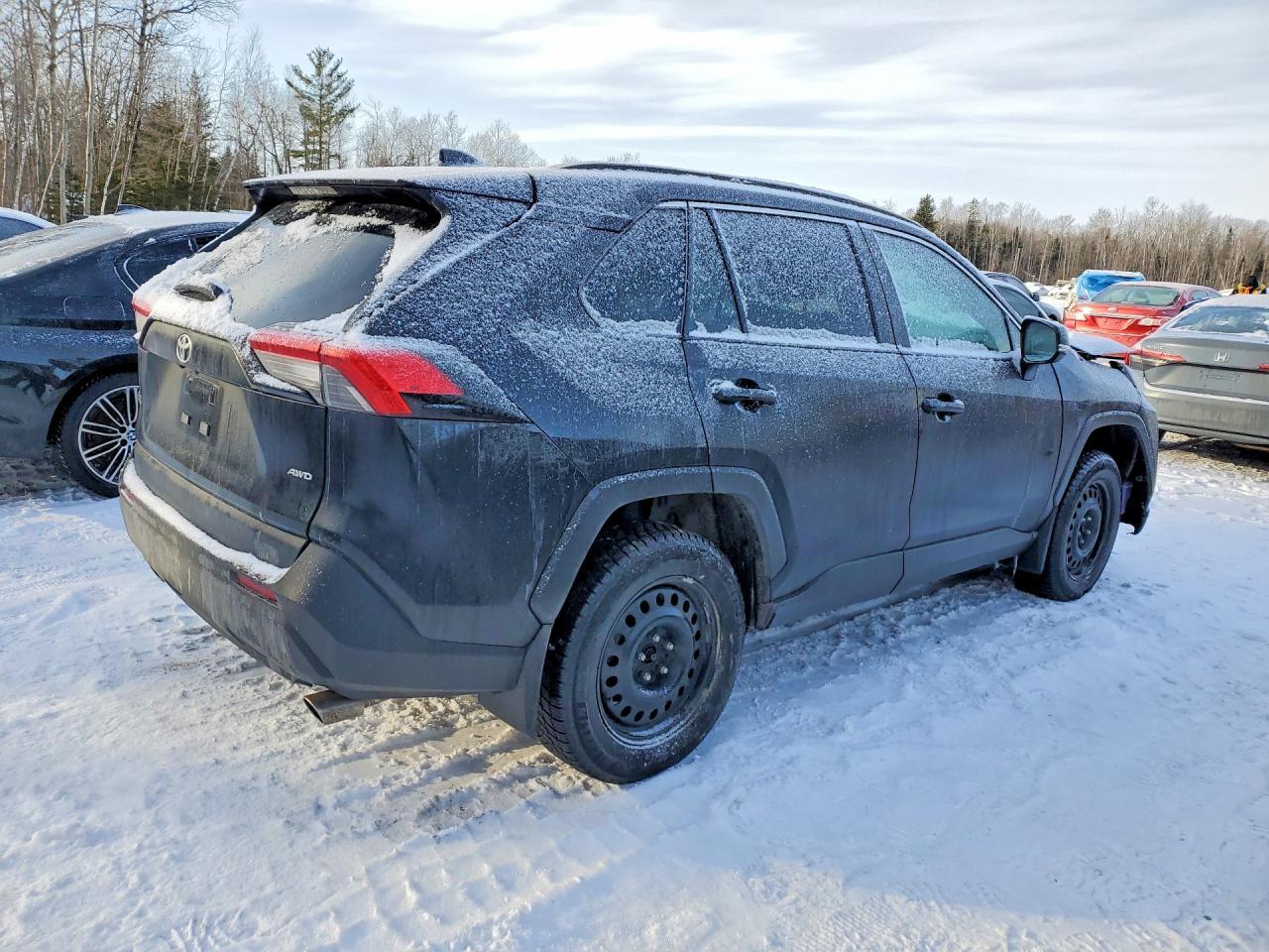 2024 TOYOTA RAV4