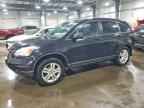 2010 HONDA CR-V