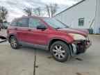 2008 HONDA CR-V