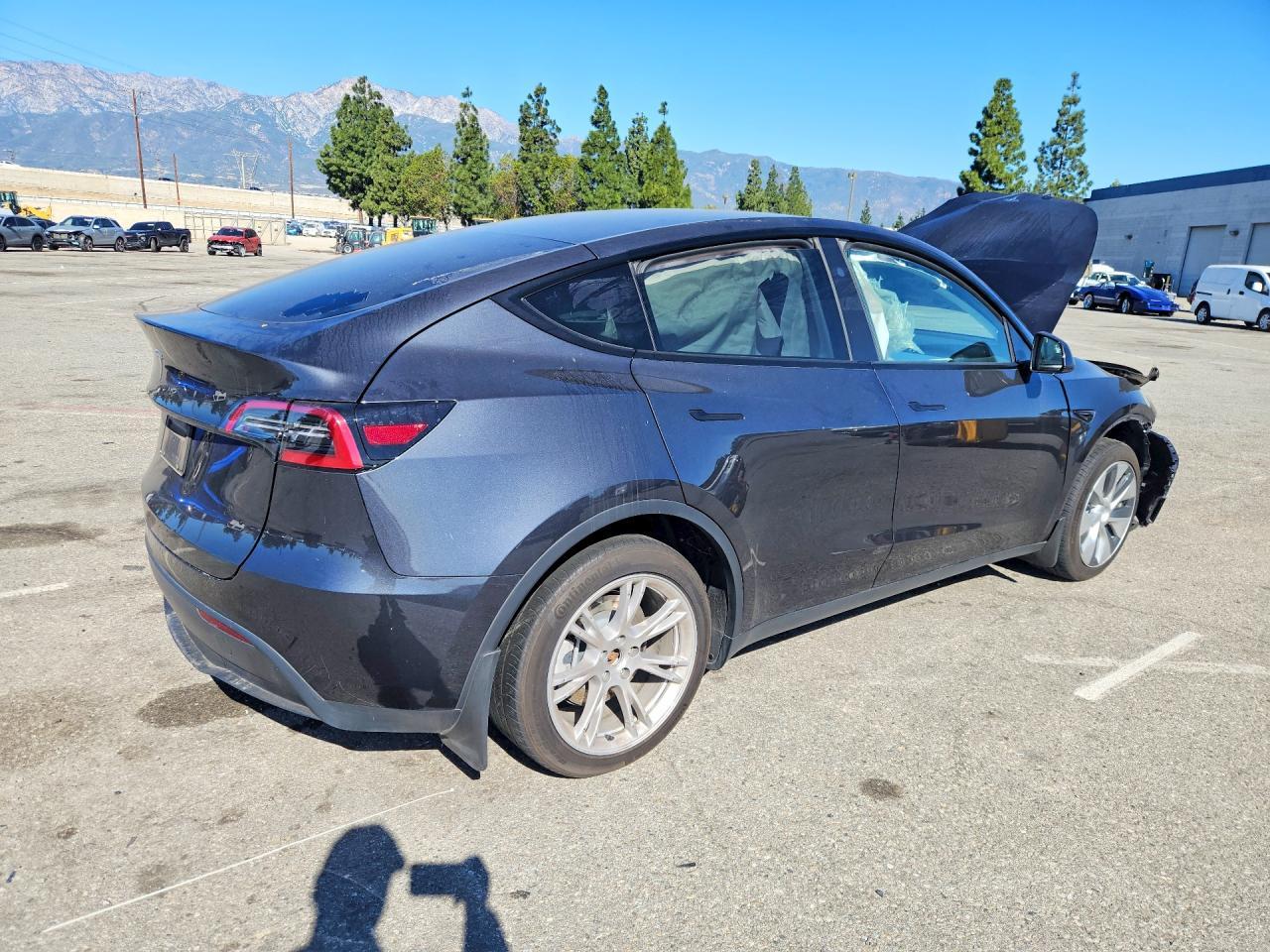 2024 TESLA MODEL Y